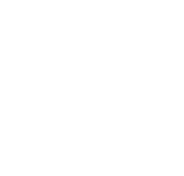 Braziliaanse Jiu-Jitsu (BJJ)